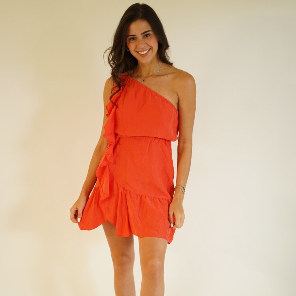 Club Monaco dress